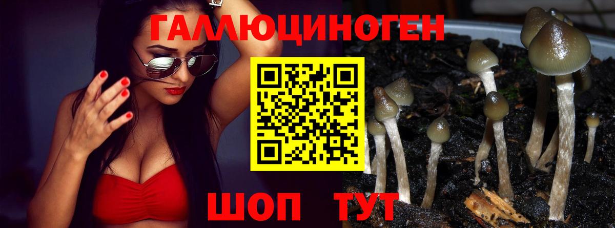 Псилоцибиновые грибы мухоморы  Вход с VPN  Салехард 